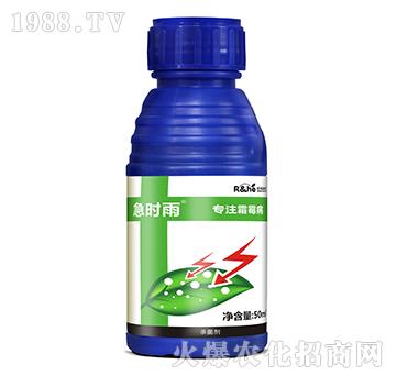 霜霉病專用殺菌劑-急時雨-中海潤禾