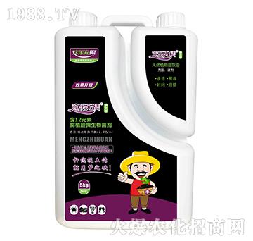 含12元素腐植酸微生物菌劑-歡樂無線-美爾森