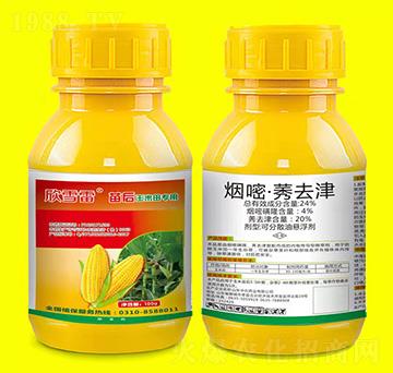 ����������ó��݄�-��ѩ��