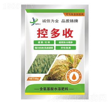 �ض��� ���ƻ���