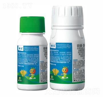 ����-ؐ����