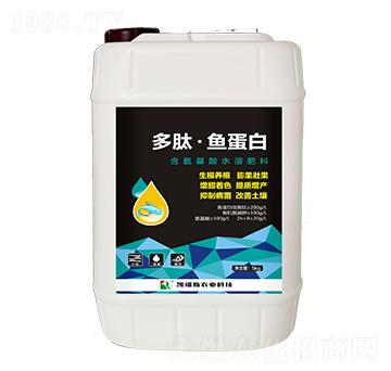 �����~����-�P��˹