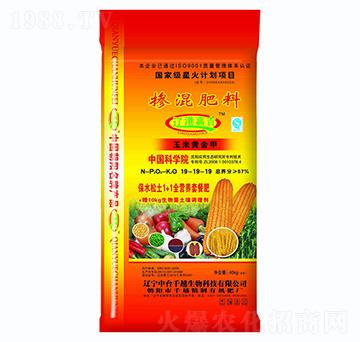 ���׌��Ó����19-1