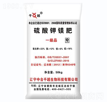 ������V��-ǧԽ