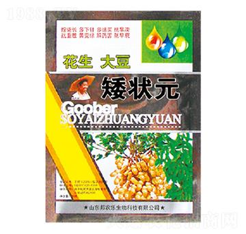 �����󶹰���Ԫ-��������