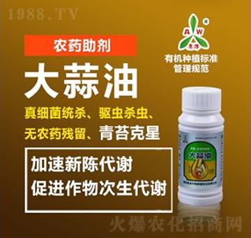 �������rˎ����-�W�S