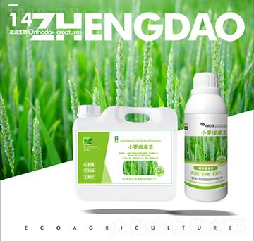 小麥增產(chǎn)王-正道生物