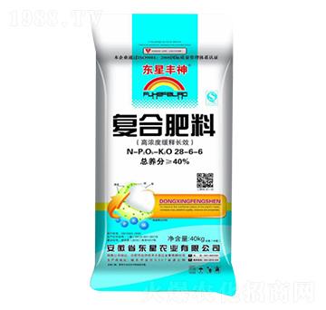 �|���S���(f��)�Ϸ���28-6-6-�|��