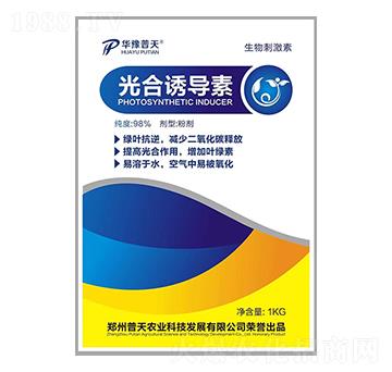 ����T����-�����r�I(y��)