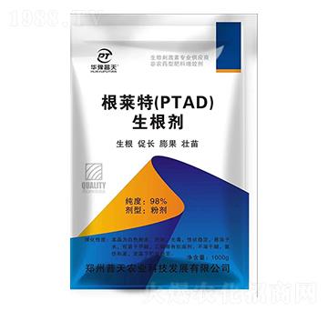 ���R�أ�PTAD��-������-�����r�I(y��)