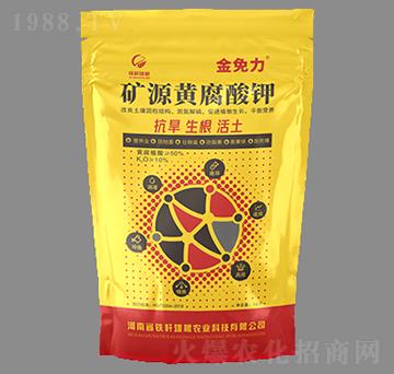 �VԴ�S�����-������-�F�U�۸�