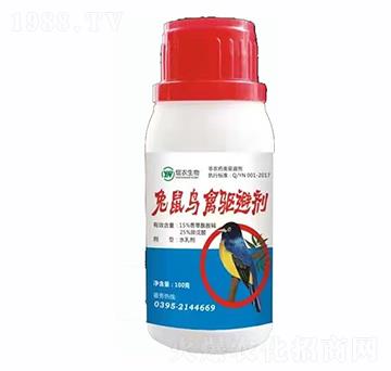 �����B(ni��o)�C�(q��)�ㄩ-���r(n��ng)����