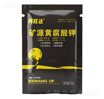 �VԴ�S�����-�����_(d��)-