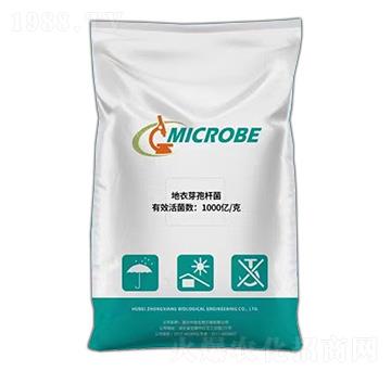 ����ѿ�ߗU��-��������