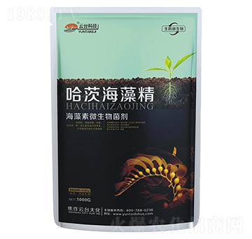 哈茨海藻精-海藻素微生物菌劑-云臺(tái)大化