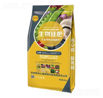 ������-��������ޏ�