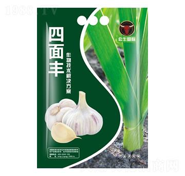 大蒜增產(chǎn)技術(shù)包-四面豐-公牛國際