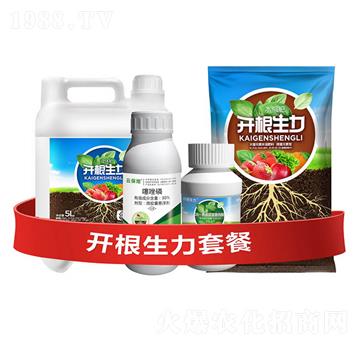 �_�������ײ�H-�ƴ�Ƽ�