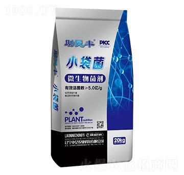 С����΢�������-�����S-�Ѓ|�r(n��ng)�I(y��)