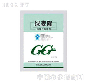 ����G��¡��С�����݄�