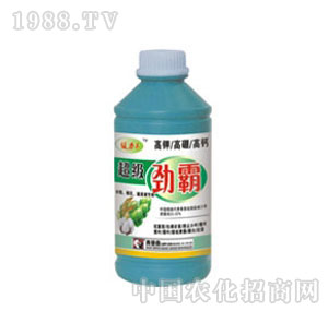 �W��ɭ-�����Ű�