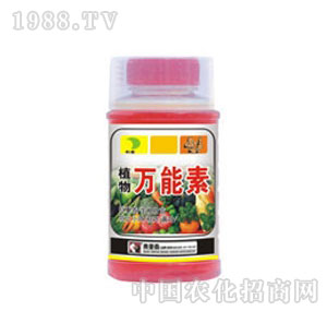 �W��ɭ-ֲ����