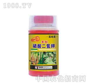 �W��ɭ-������������