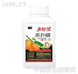 ���r�r��-�����������