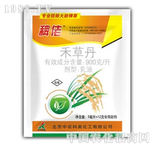 ���r����-����