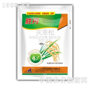 ���r����-�ٵ�