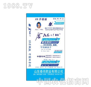 ����-Ԋ���A6+1�����ģ�-������Ч��