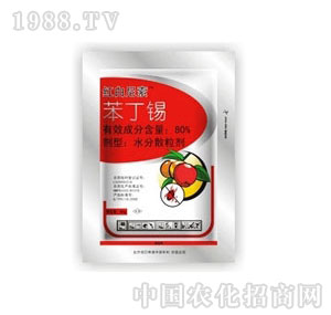 ����-�t������