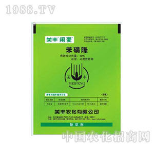 ���S10%����¡�ɝ��Էۄ�(WP) �e��