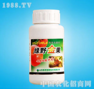 �ٰ�-�GҰ���