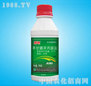 �ٰ�-41%ϲ��