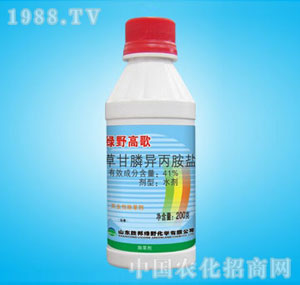 �ٰ�-41%�߸�