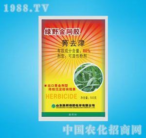 �ٰ�-�GҰ���z