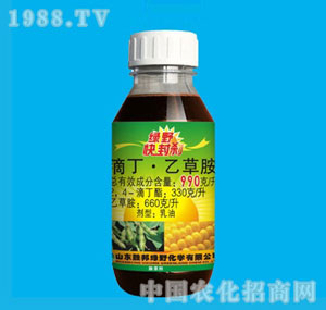 �ٰ�-�GҰ���x