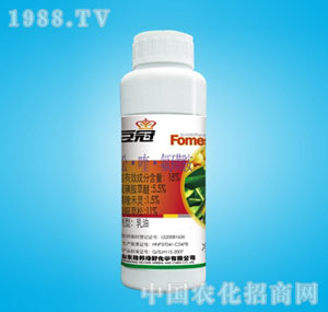 �ٰ�-����