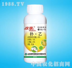 �ٰ�-40%�g��