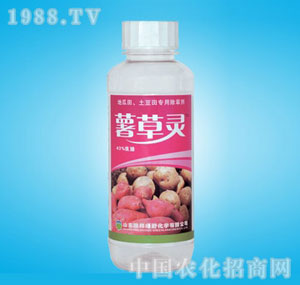 �ٰ�-43%�����`