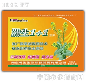 ���1+1�Ͳˌ���