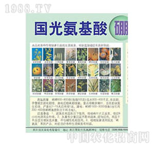 ��(gu��)��-��������