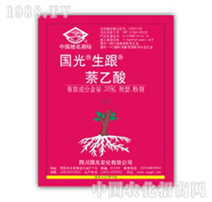 ����-����