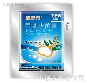 ����ˎ�I(y��)-ɭ����