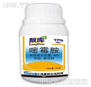 ����ˎ�I(y��)-�n��